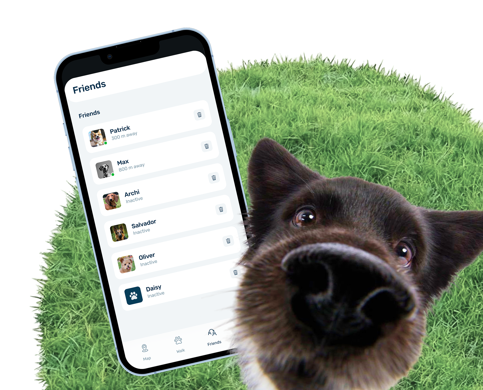 A dog and the PetsWalk friends screen