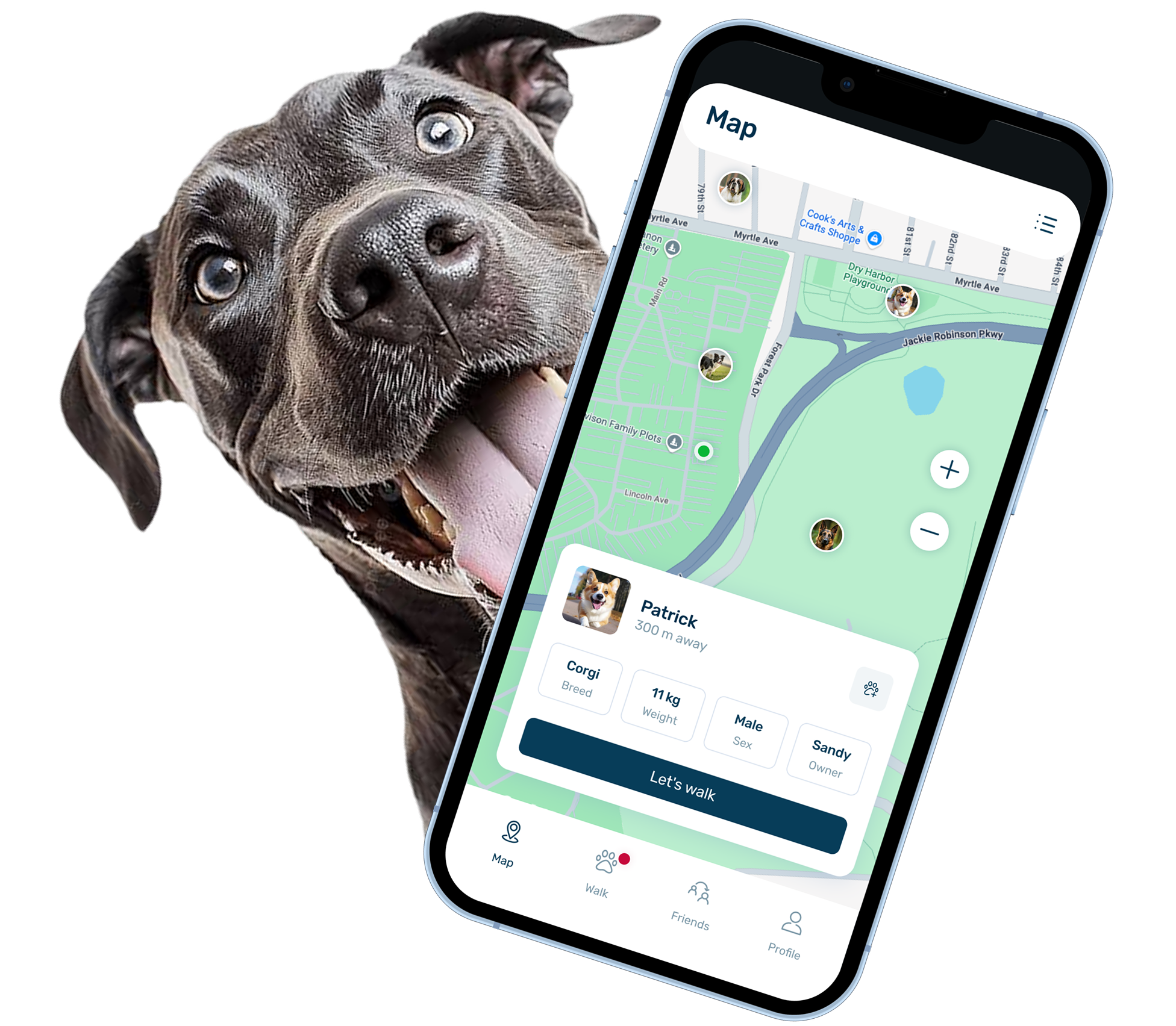 A dog beside the PetsWalk map